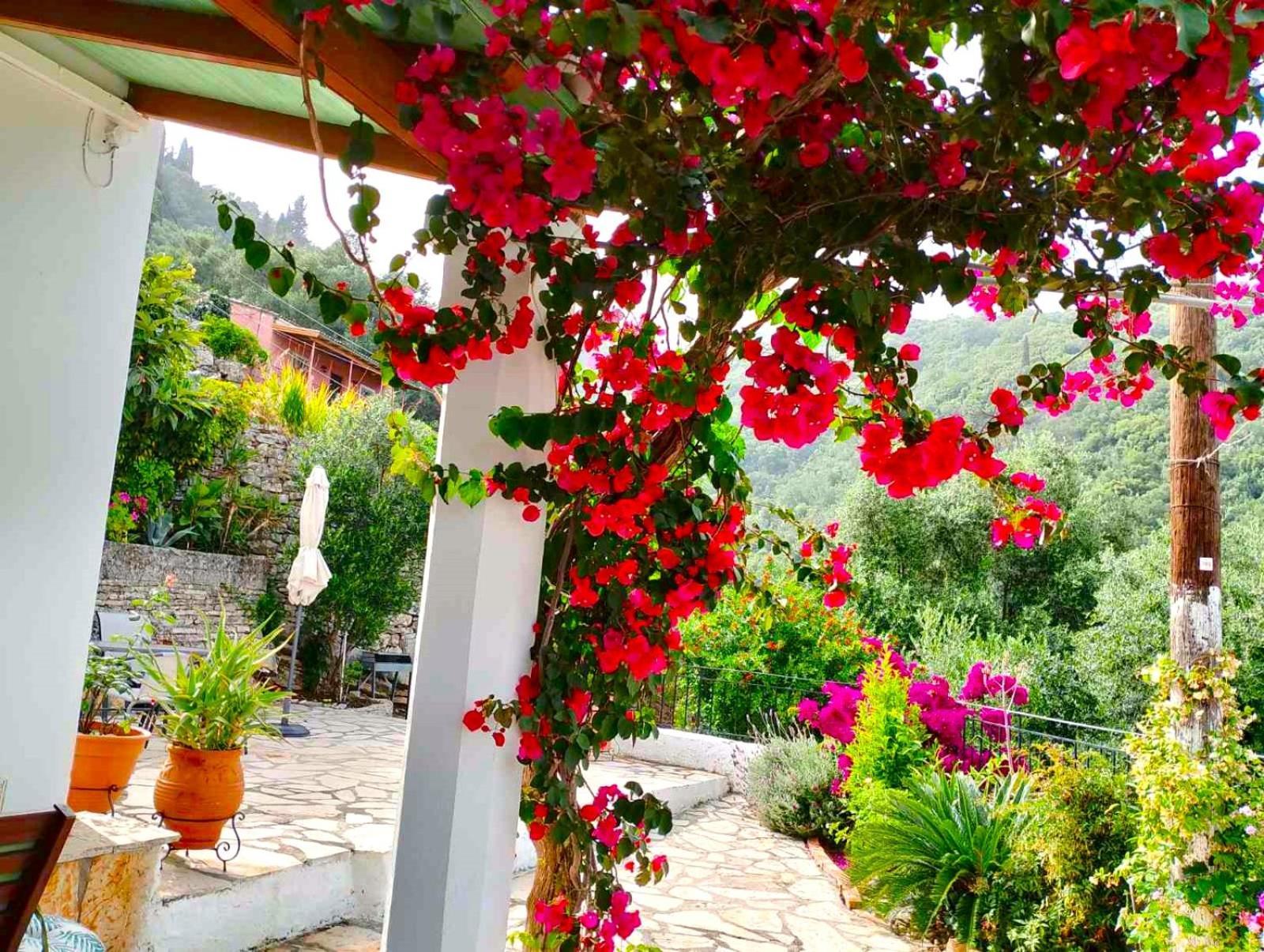 Fior Di Corfu Villa Kalami  Bagian luar foto